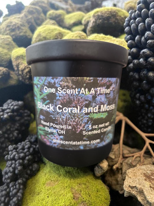 Black Coral and Moss